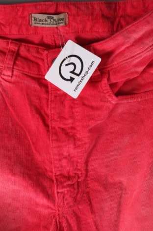 Damen Cordhose, Größe XS, Farbe Rot, Preis € 10,49