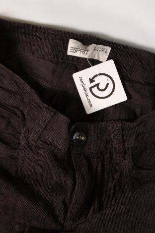 Pantaloni de velvet de femei Esprit, Mărime M, Culoare Maro, Preț 157,99 Lei