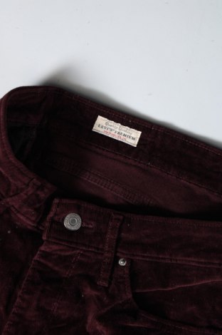 Damskie sztruksy Signature By Levi Strauss & Co, Rozmiar XL, Kolor Czerwony, Cena 92,99 zł