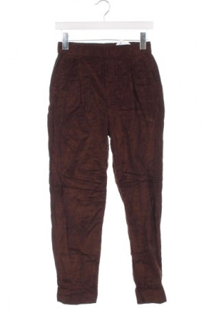 Pantaloni de velvet de femei United Colors Of Benetton, Mărime XS, Culoare Maro, Preț 157,99 Lei