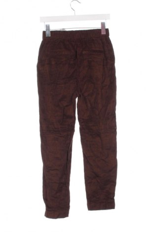 Pantaloni de velvet de femei United Colors Of Benetton, Mărime XS, Culoare Maro, Preț 79,99 Lei