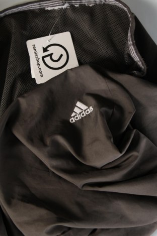 Damskie spodnie Adidas, Rozmiar L, Kolor Szary, Cena 84,99 zł