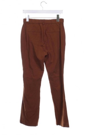 Damenhose B.Young, Größe XS, Farbe Braun, Preis € 4,99