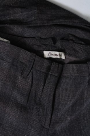 Pantaloni de femei Cappellini by Peserico, Mărime S, Culoare Gri, Preț 562,99 Lei