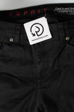 Damenhose Esprit, Größe S, Farbe Schwarz, Preis € 7,49