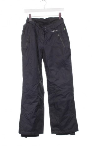 Damenhose für Wintersport TCM, Größe S, Farbe Grau, Preis € 67,99