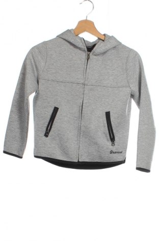 Damen Sweatshirt Admiral, Größe XS, Farbe Grau, Preis € 31,38