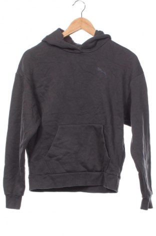 Damen Sweatshirt PUMA, Größe XS, Farbe Grau, Preis € 33,99