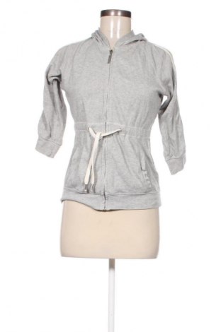 Damen Sweatshirt Terranova, Größe S, Farbe Grau, Preis € 5,00