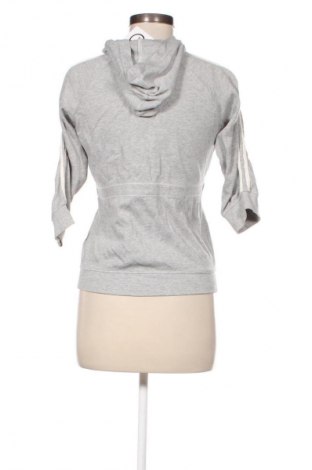 Damen Sweatshirt Terranova, Größe S, Farbe Grau, Preis € 5,00