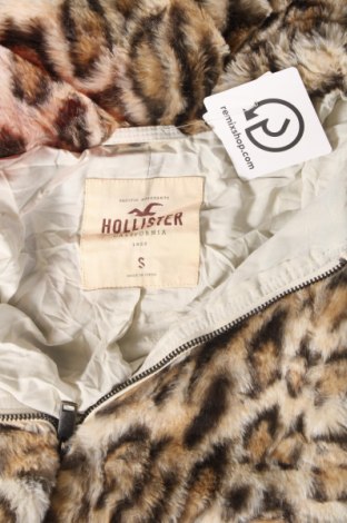 Damenmantel Hollister, Größe S, Farbe Mehrfarbig, Preis € 39,99