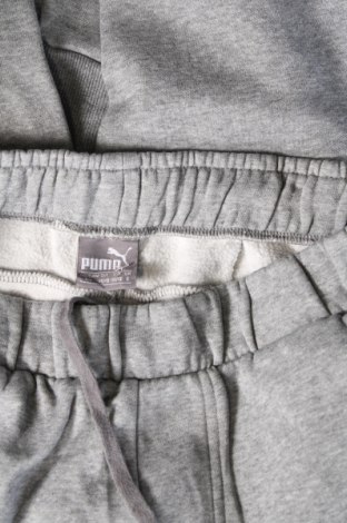 Damen Sporthose PUMA, Größe L, Farbe Grau, Preis 28,99 €