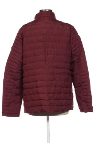 Damenjacke Cecil, Größe L, Farbe Rot, Preis € 10,99