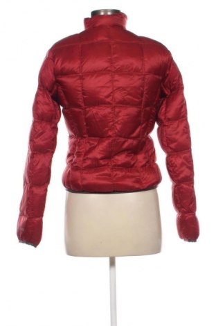 Damenjacke First Ascent, Größe S, Farbe Rot, Preis € 25,27