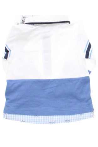 Kinder Shirt Chicco, Größe 2-3m/ 56-62 cm, Farbe Mehrfarbig, Preis 5,99 €