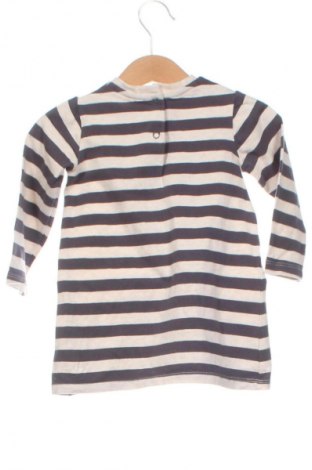 Kinder Shirt Chicco, Größe 6-9m/ 68-74 cm, Farbe Mehrfarbig, Preis 6,14 €