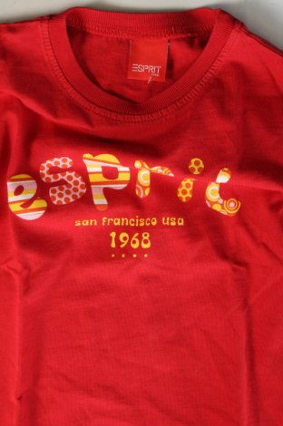 Kinder Shirt Esprit, Größe 2-3y/ 98-104 cm, Farbe Rot, Preis € 7,49