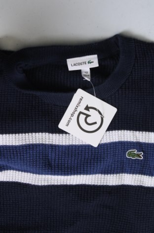 Παιδικό πουλόβερ Lacoste, Μέγεθος 10-11y/ 146-152 εκ., Χρώμα Μπλέ, Τιμή 38,99 €