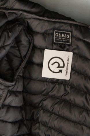 Παιδικό μπουφάν Guess, Μέγεθος 18-24m/ 86-98 εκ., Χρώμα Πολύχρωμο, Τιμή 35,29 €