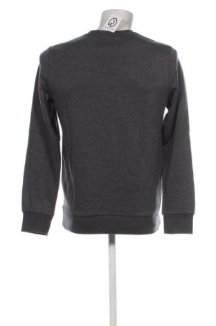 Herren Shirt Difuzed, Größe S, Farbe Grau, Preis € 13,82