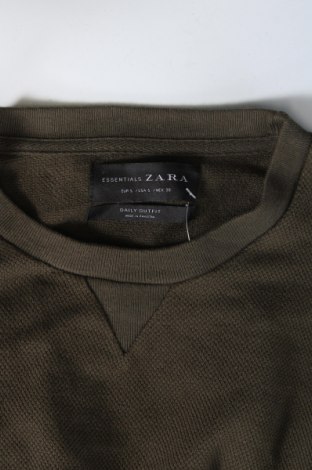 Herren Shirt Zara, Größe S, Farbe Grün, Preis 6,99 €