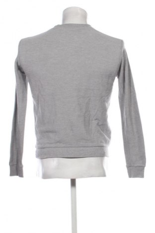 Herren Shirt Zara, Größe S, Farbe Grau, Preis € 7,99