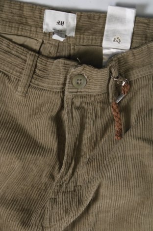 Herren Cordhose H&M, Größe S, Farbe Grün, Preis € 11,49