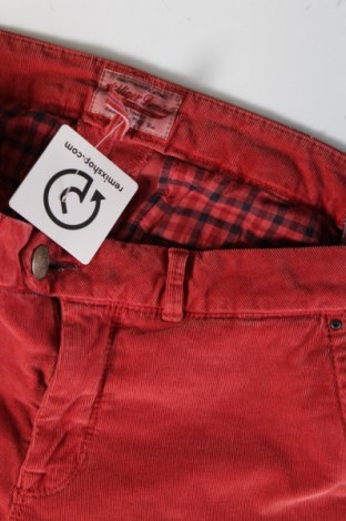 Herren Cordhose Hilfiger Denim, Größe M, Farbe Rot, Preis 49,10 €