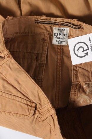 Herren Shorts Esprit, Größe M, Farbe Beige, Preis € 13,99