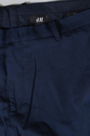 Herrenhose H&M, Größe L, Farbe Blau, Preis 27,49 €