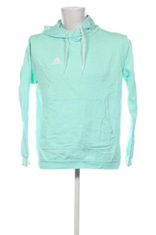 Herren Sweatshirt Adidas, Größe L, Farbe Grün, Preis 38,49 €