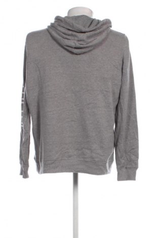 Herren Sweatshirt Hollister, Größe XL, Farbe Grau, Preis 28,99 €