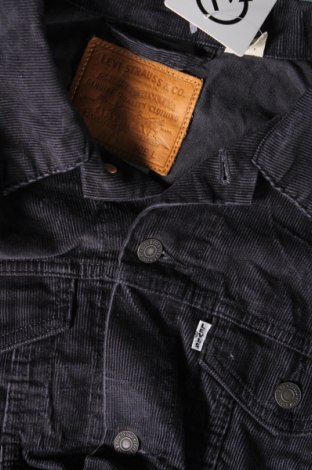 Ανδρικό μπουφάν Levi's, Μέγεθος L, Χρώμα Μπλέ, Τιμή 53,99 €