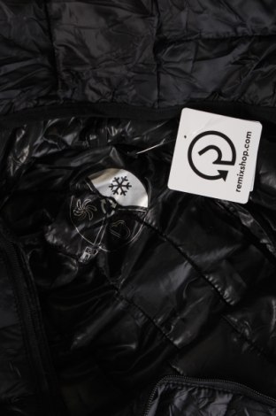 Herrenjacke Oviesse, Größe M, Farbe Schwarz, Preis € 33,99