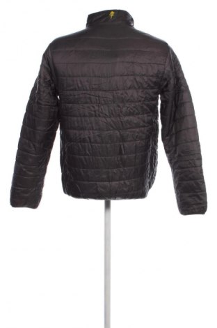 Herrenjacke Pinewood, Größe L, Farbe Grau, Preis 66,99 €