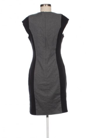 Kleid French Connection, Größe XL, Farbe Mehrfarbig, Preis € 23,49