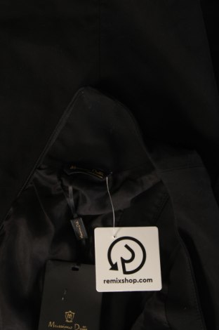 Kleid Massimo Dutti, Größe M, Farbe Schwarz, Preis € 52,49