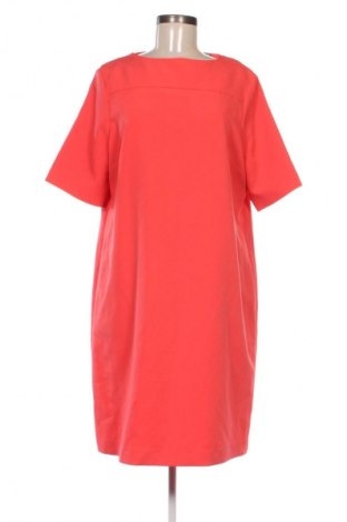 Kleid Paul Costelloe, Größe XL, Farbe Rosa, Preis 23,44 €