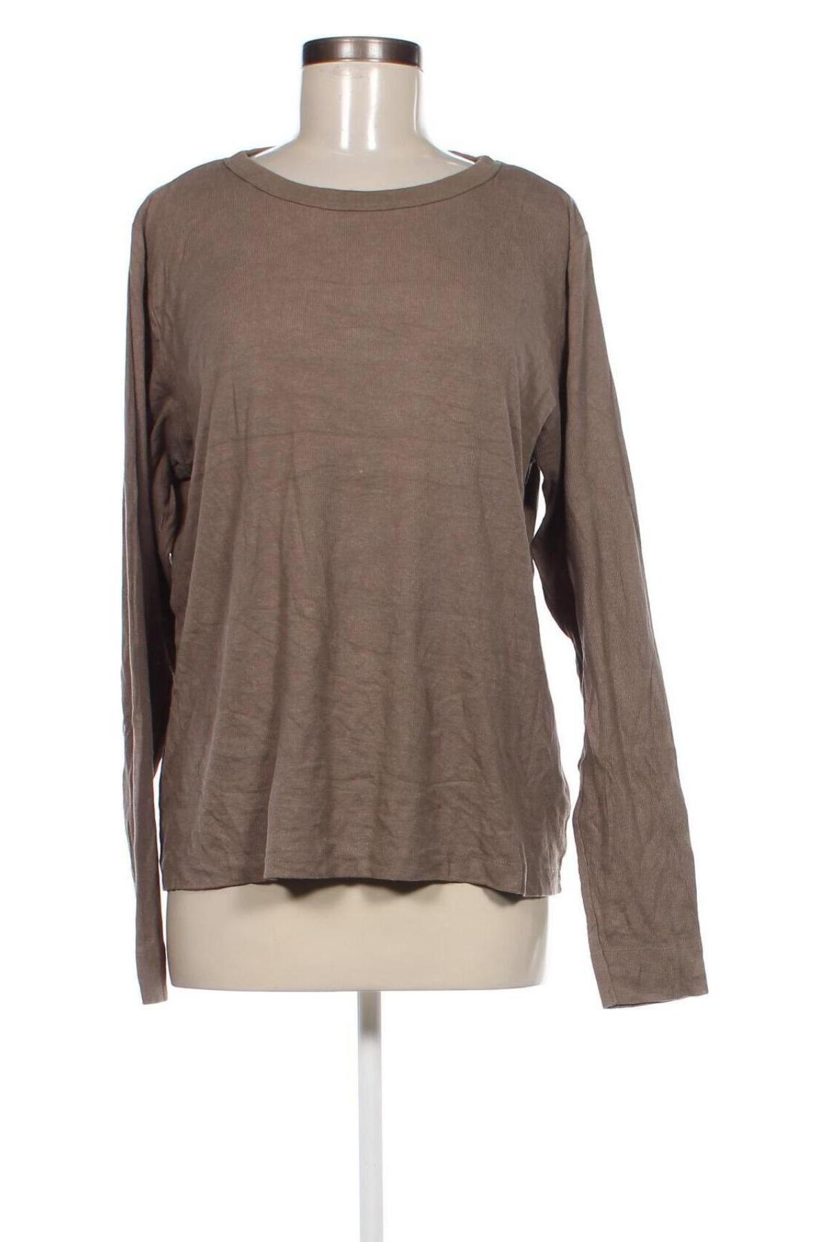 Damen Shirt H&M, Größe XXL, Farbe Braun, Preis € 9,99