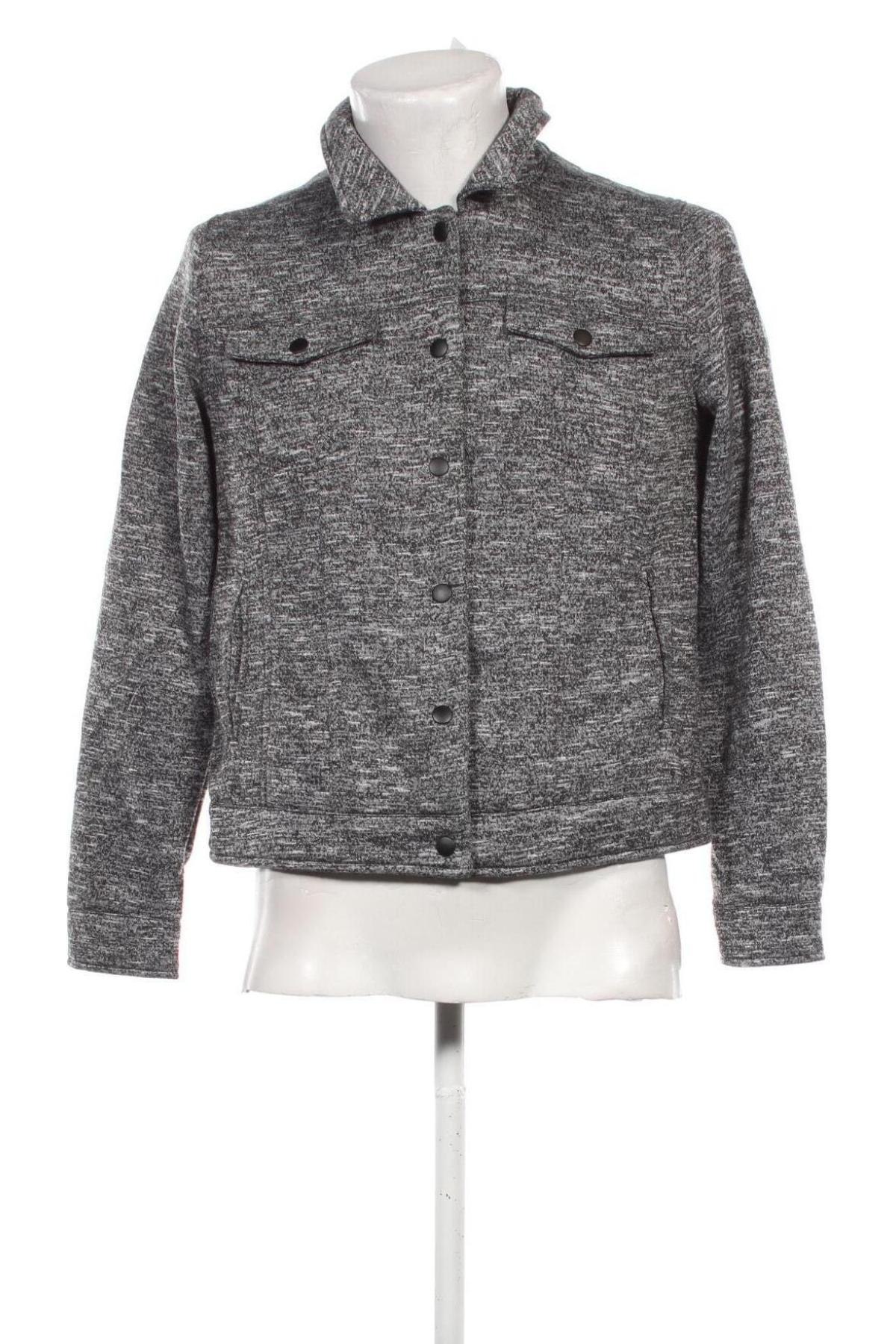 Herrenjacke Cecil, Größe L, Farbe Grau, Preis 31,99 €