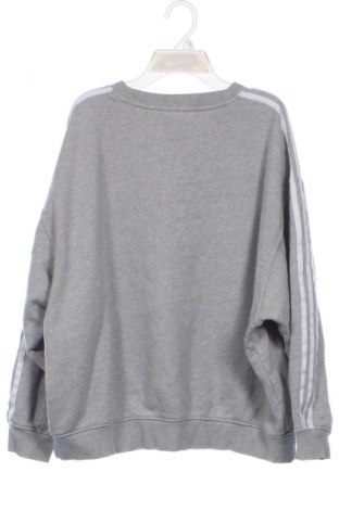 Γυναικεία μπλούζα Adidas Originals, Μέγεθος XS, Χρώμα Γκρί, Τιμή 24,55 €