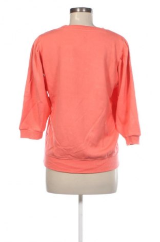 Γυναικεία μπλούζα Ana&Ava, Μέγεθος L, Χρώμα Ρόζ , Τιμή 66,99 €