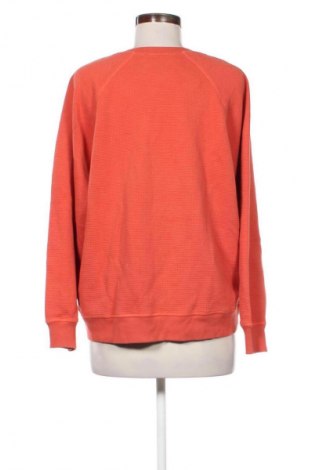 Bluzka damska Betty & Co, Rozmiar XXL, Kolor Pomarańczowy, Cena 110,00 zł