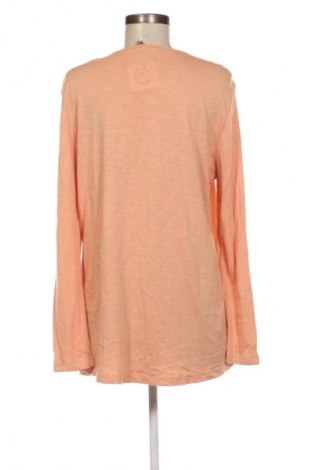 Γυναικεία μπλούζα Betty Barclay, Μέγεθος XL, Χρώμα  Μπέζ, Τιμή 17,99 €