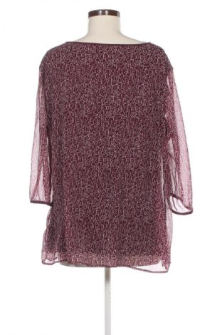 Γυναικεία μπλούζα Bonita, Μέγεθος XL, Χρώμα Πολύχρωμο, Τιμή 4,99 €