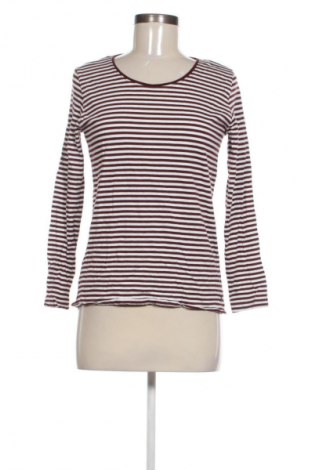 Dámska blúza Cecil, Veľkosť M, Farba Viacfarebná, Cena  17,00 €