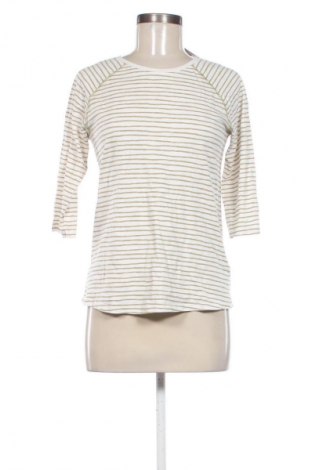 Γυναικεία μπλούζα Essentials by Tchibo, Μέγεθος S, Χρώμα Πολύχρωμο, Τιμή 9,72 €