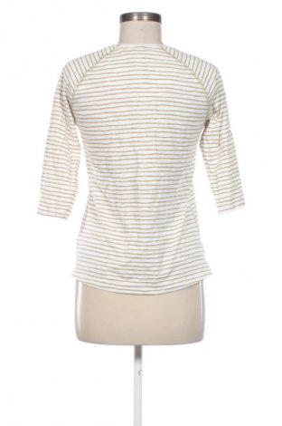 Γυναικεία μπλούζα Essentials by Tchibo, Μέγεθος S, Χρώμα Πολύχρωμο, Τιμή 9,72 €