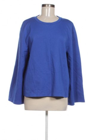 Damen Shirt GOMAYE, Größe M, Farbe Blau, Preis 24,48 €