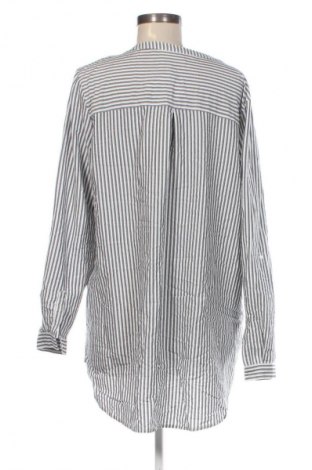 Γυναικεία μπλούζα Gina, Μέγεθος XL, Χρώμα Πολύχρωμο, Τιμή 7,99 €